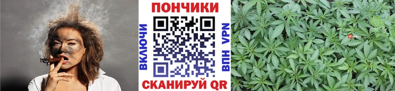 Купить закладки  Кохма  Бошки Шишки Ganja 